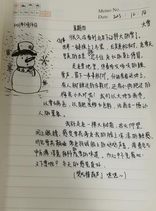 日记300字初中日常生活