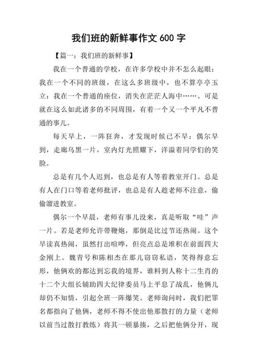我们班的故事600字初中
