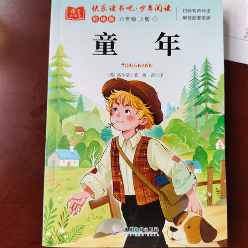 小学六年级适合看什么课外书