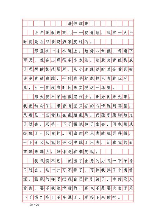 暑假趣事600字作文初中