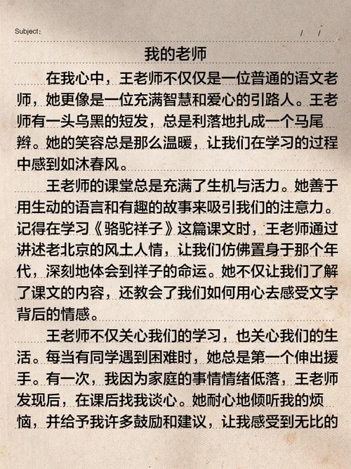 我的老师作文500字初中