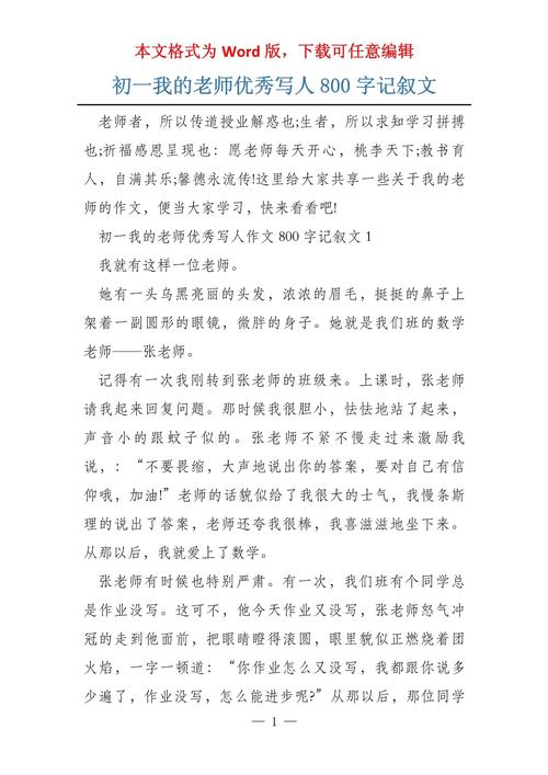 我的老师初中作文800字
