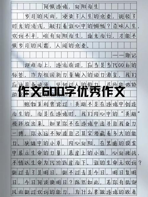 初中优秀作文大全600字