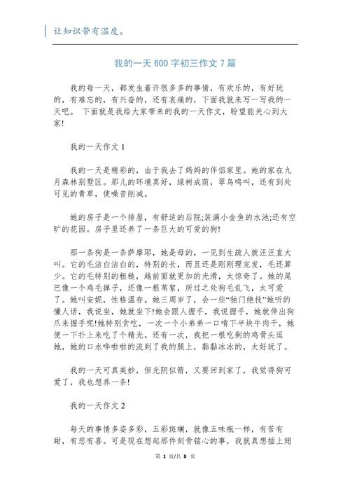 初中我的一天作文600字