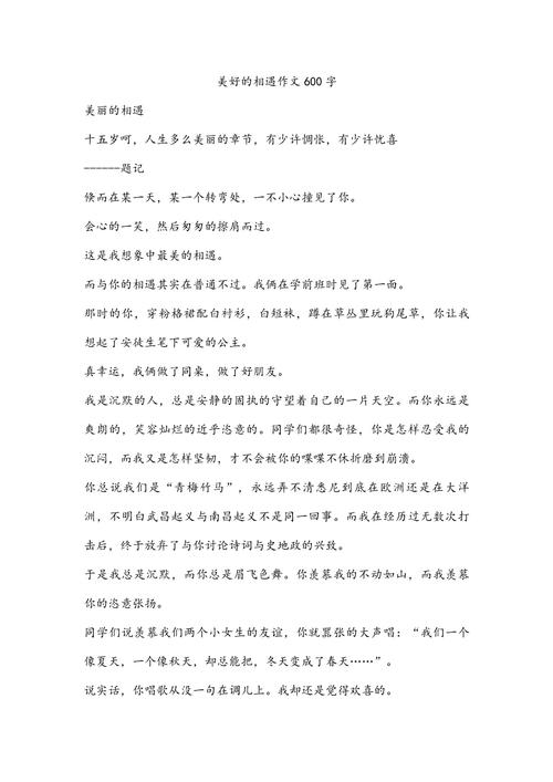 初中作文《相遇》600字