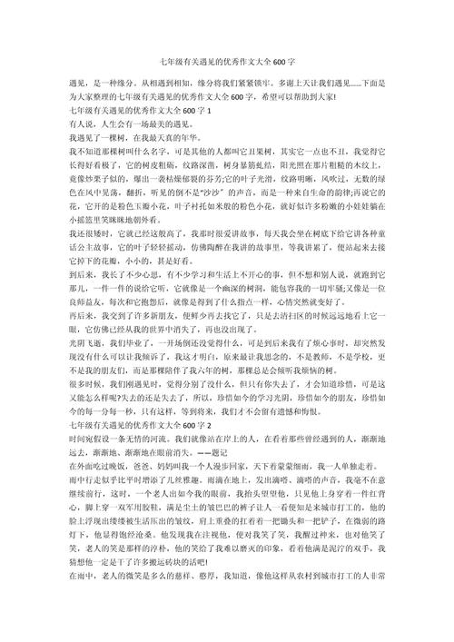 初中作文《相遇》600字