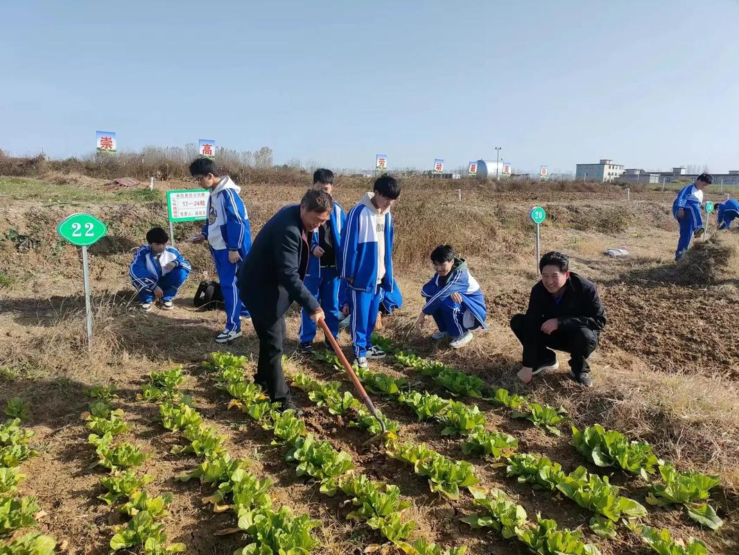 初中生社会实践活动有哪些