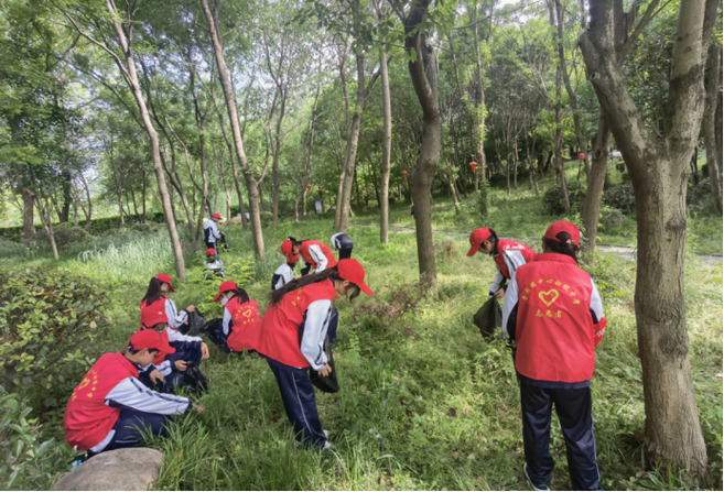 初中生社会实践活动有哪些