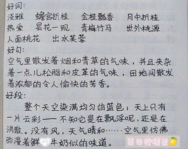 好词好句好段摘抄大全初中