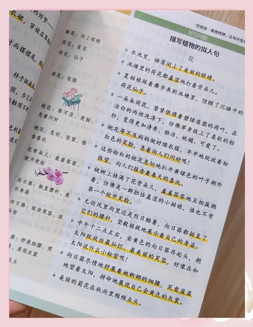 小学生好词好句好段摘抄大全