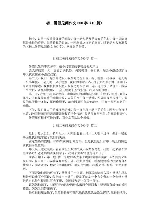 难忘的暑假初中500字