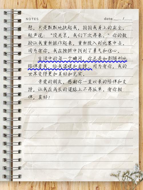 初中作文有你陪伴 真好