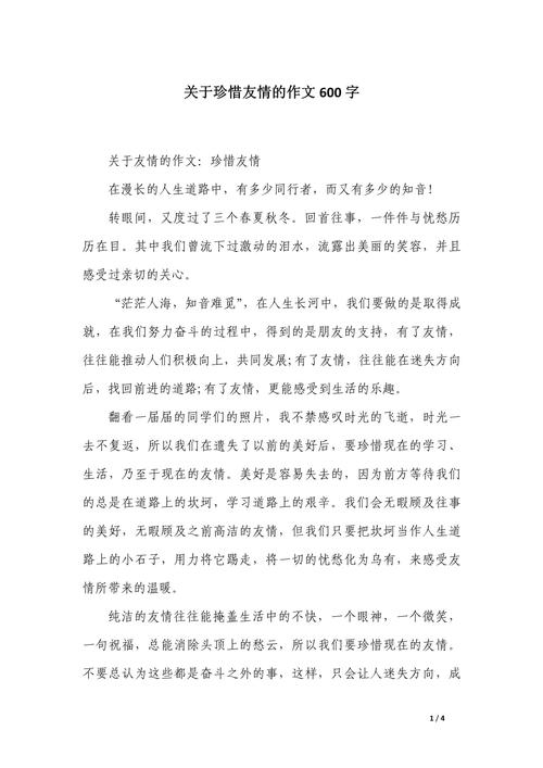 写友情作文600字初中