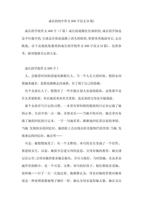 600字以内的初中作文