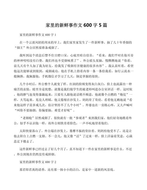 家庭事作文600字初中