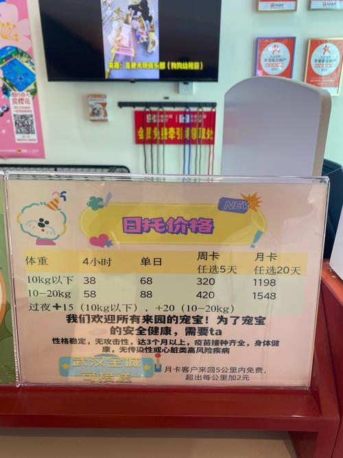 徐州早教中心价格查询