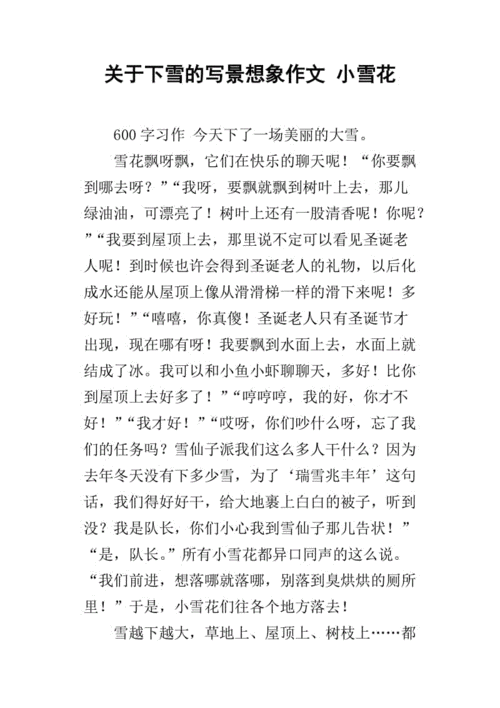 冬天的雪花想象作文初中
