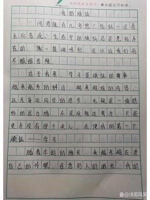 我的烦恼450初中作文