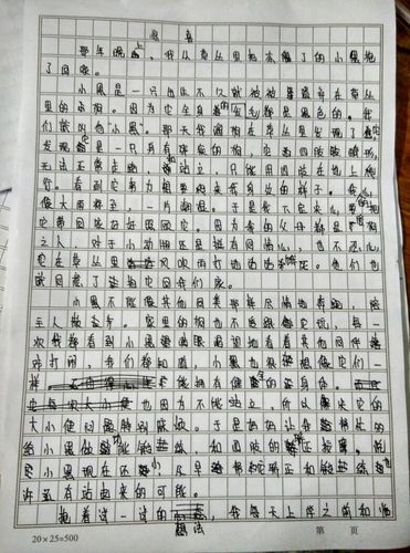 以惊喜作文600字初中