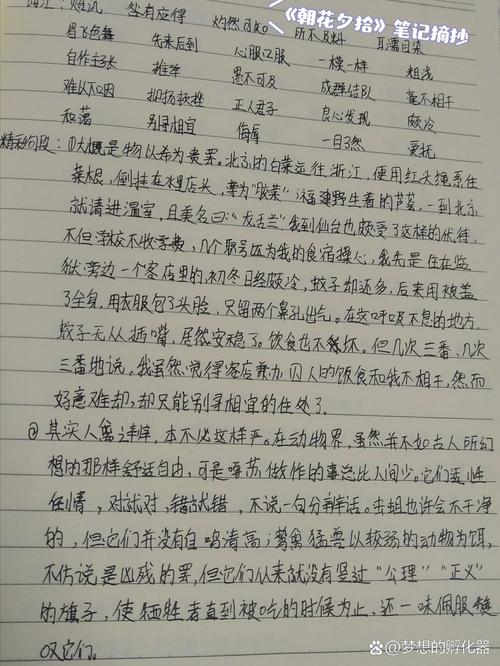 初中摘抄格式图片大全集