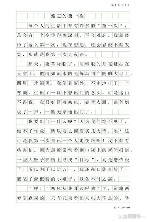 难忘的事情300字初中