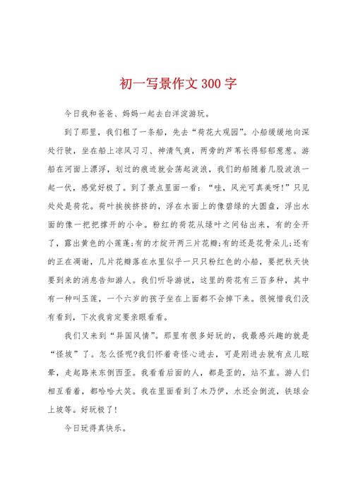 300我字作文大全初中