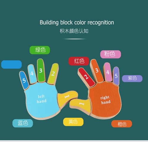 颜色认知手指早教视频