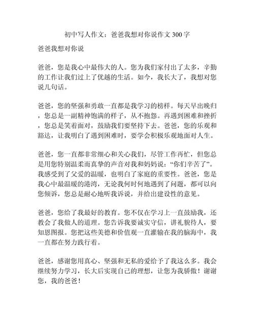 爸爸那句话 初中作文