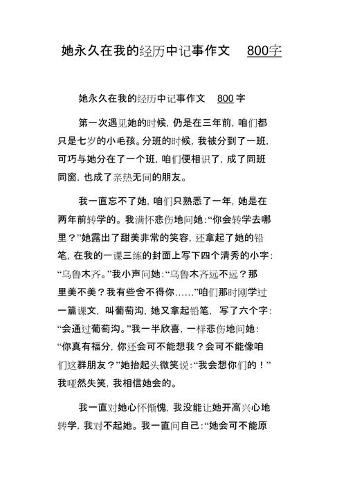 奇特的经历800字初中