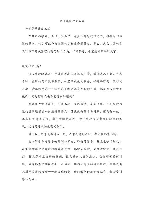 初中写莲花的作文600