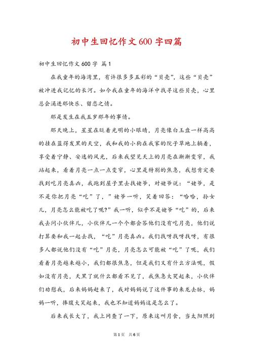 美好的回忆600字初中
