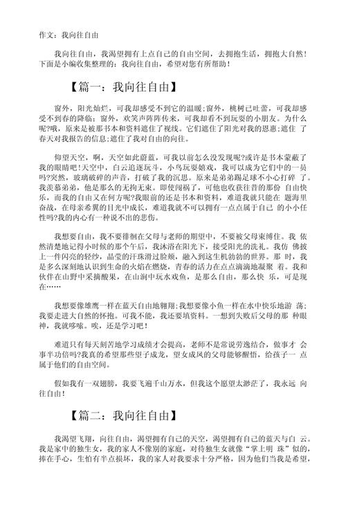 我向往作文600字初中