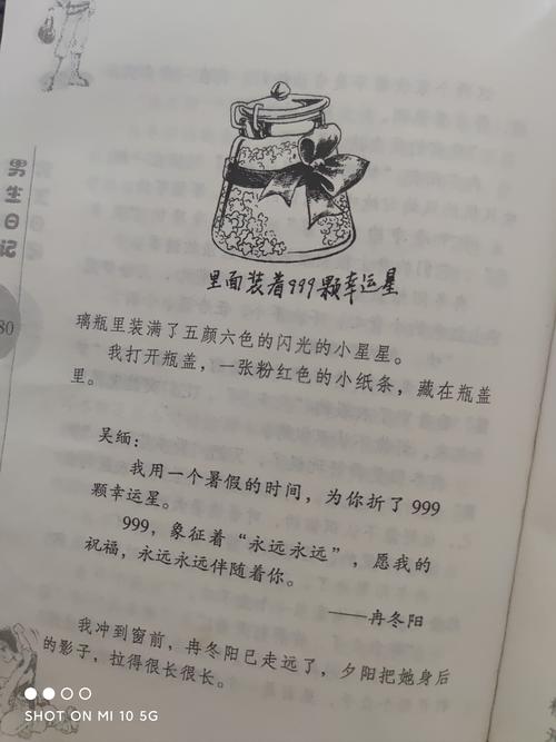 《男生日记》初中版)