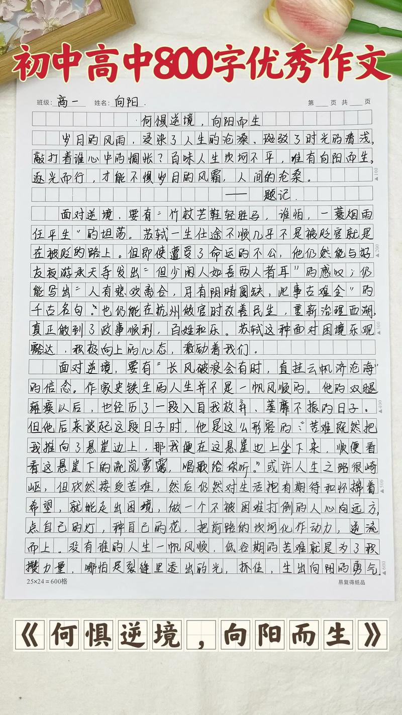 来不及作文800字初中