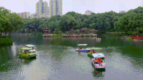 沙坪坝天星桥早教电话