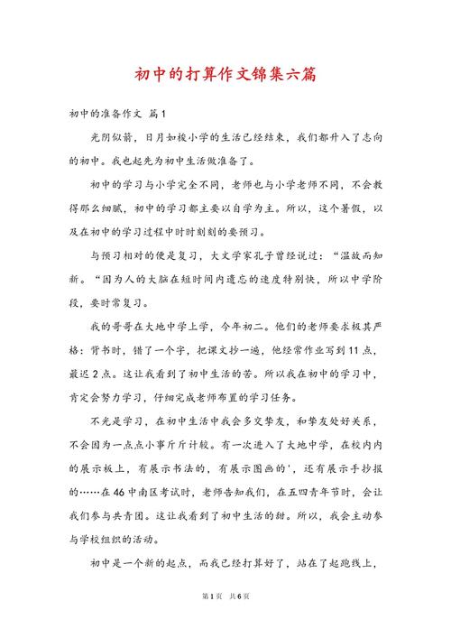 作文初中的打算600字