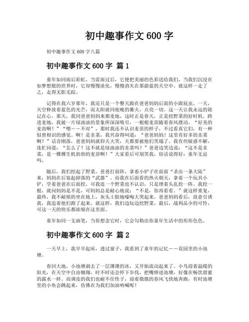 作文初中的打算600字