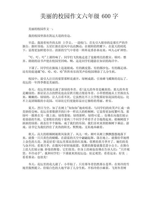 小学六年级的作文600字