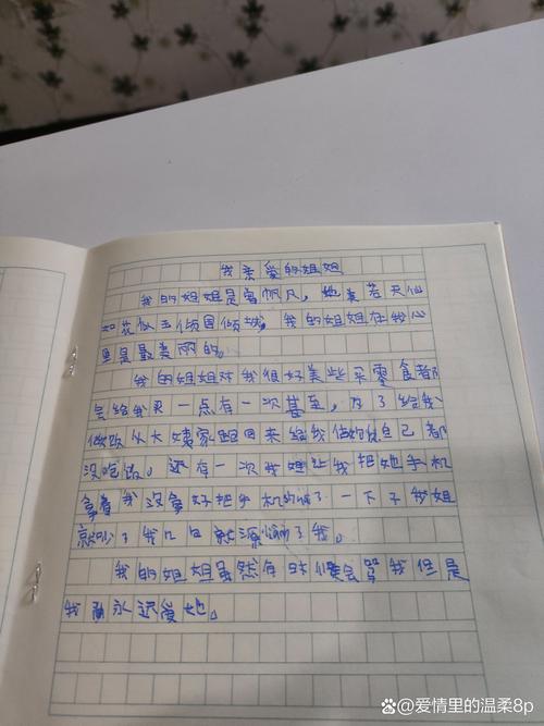 写姐姐日记800字初中