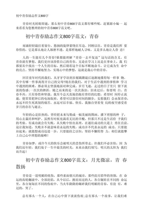 与青春同行800字初中