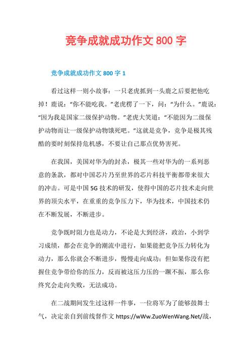 初中赢得成功作文800