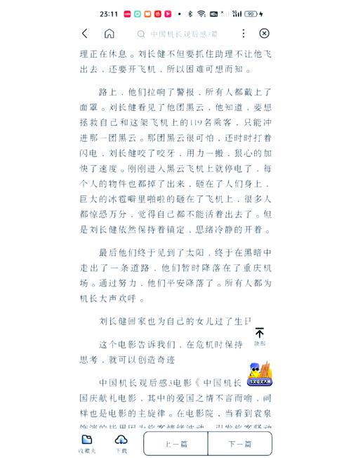 关于中国机长的初中作文