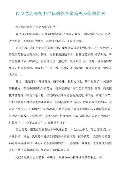 乡愁作文600字初中诗