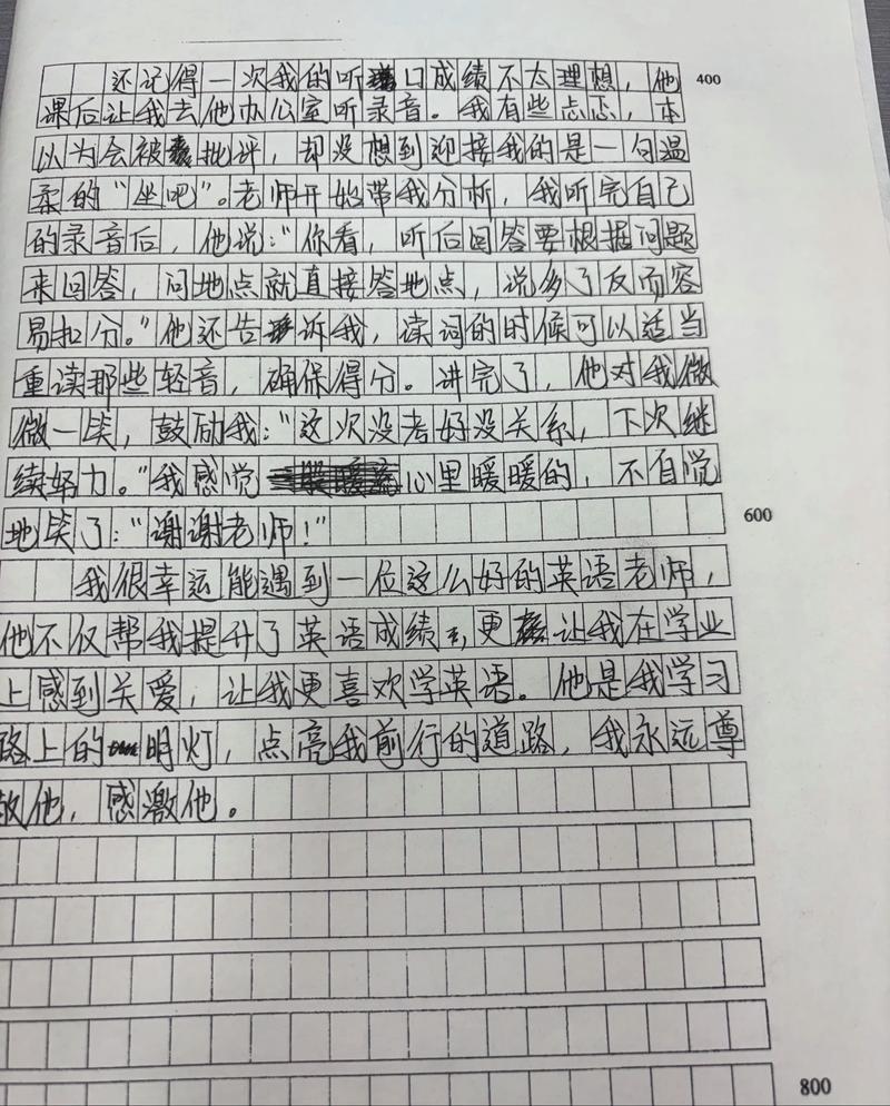 有趣的语文老师初中作文
