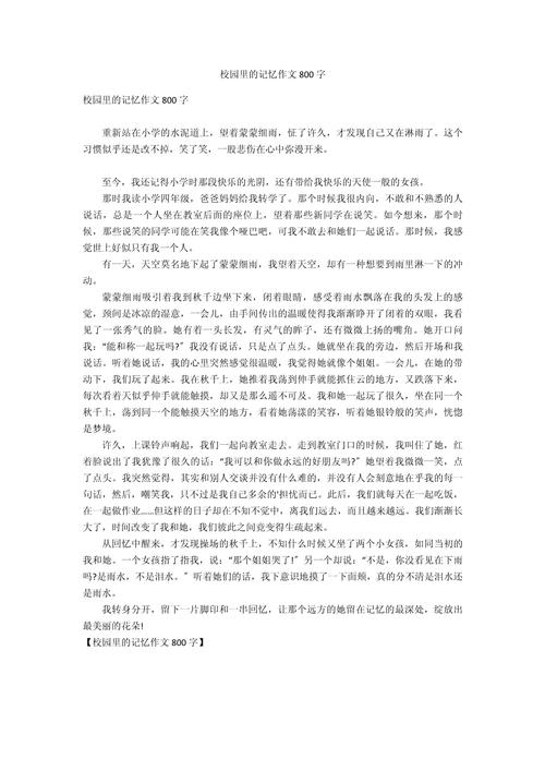 校园的回忆600字初中