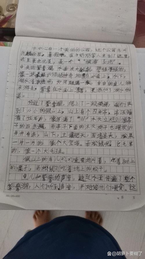 游广州白云公园初中作文