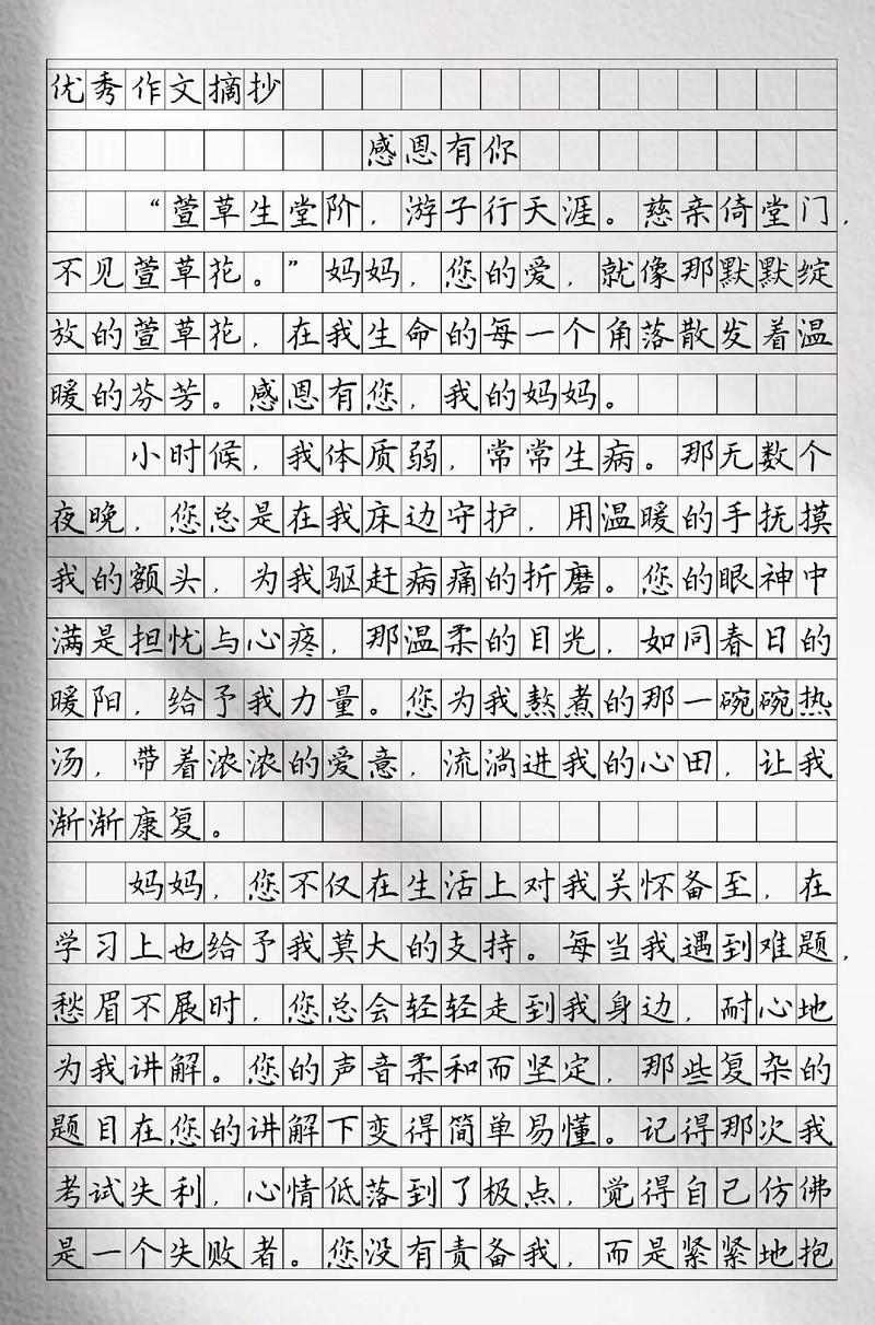 初中作文感谢有你我母亲