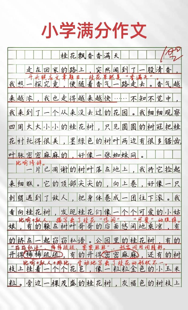 小学生获奖作文1000篇