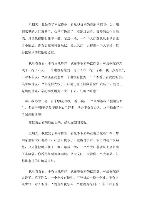 挖土豆作文700字初中