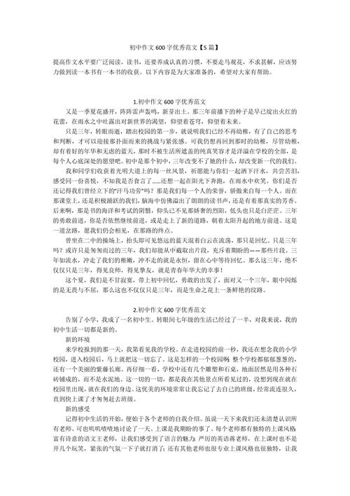 作文钓鱼城600字初中